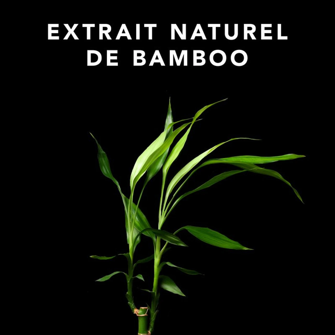 Volupt Shampoo Sebastian 1000ml 4 Volupt Shampoo Sebastian 1000ml – Image 2