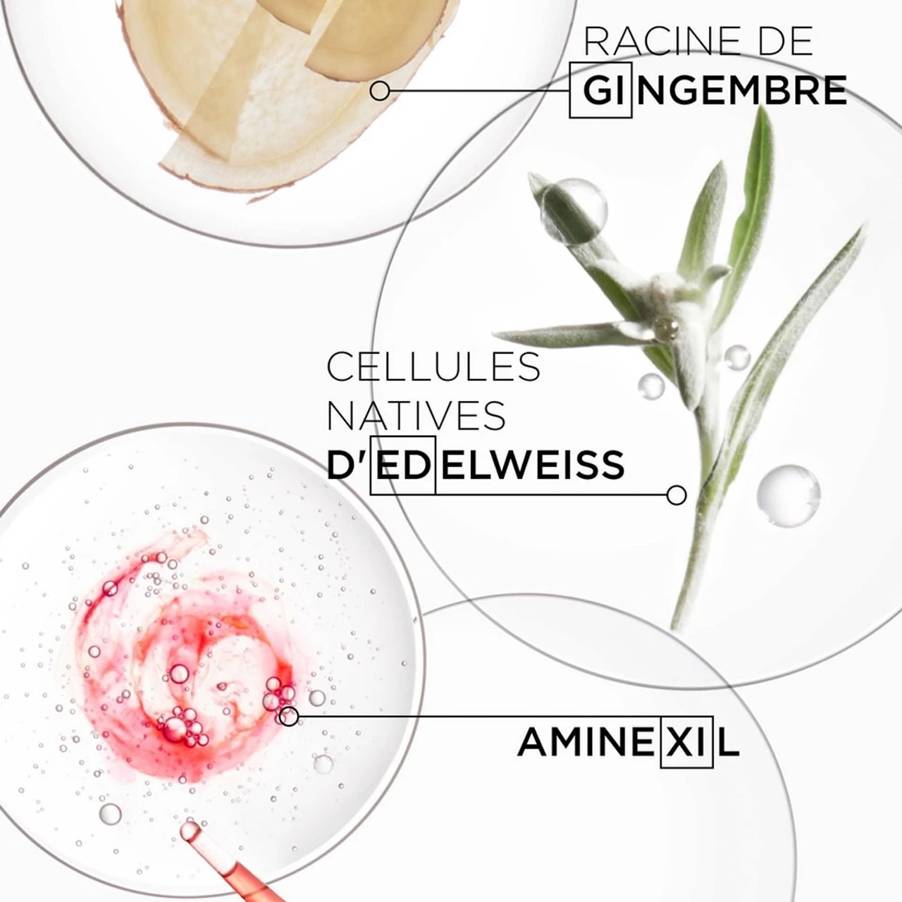 Fondant Renforçateur Genesis Kérastase 200ml 6 Fondant Renforçateur Genesis Kérastase 200ml – Image 4