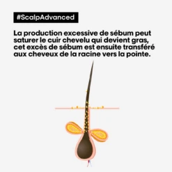 Shampooing Dermo-Purifiant Anti Gras Scalp Advanced L'Oréal 500ml -Soins Capillaires scalp advanced anti gras se bum 13592.1684847787