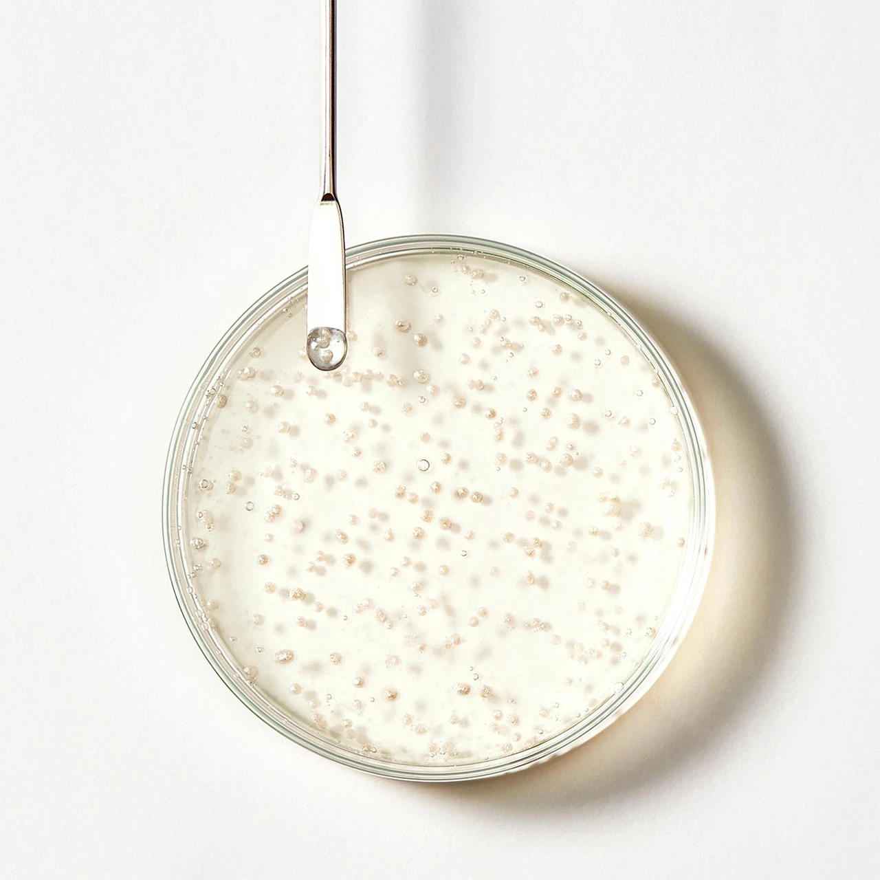 Shampooing Triphasic René Furterer 200ml 4 Shampooing Triphasic René Furterer 200ml – Image 2